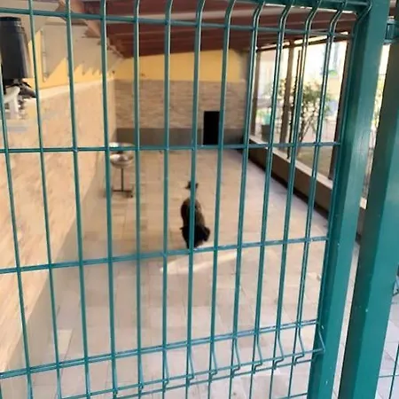 Pongo Apartment