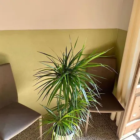Apartment Pongo *