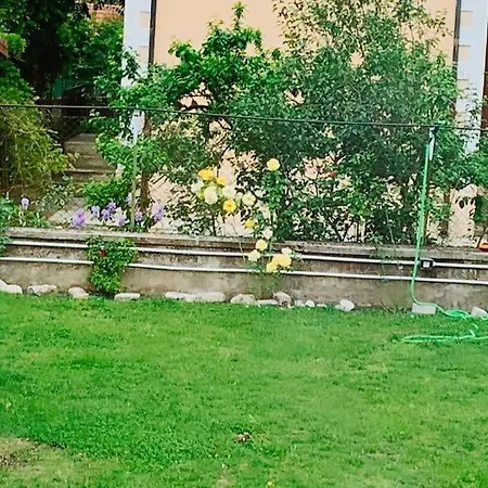 Pongo Apartment