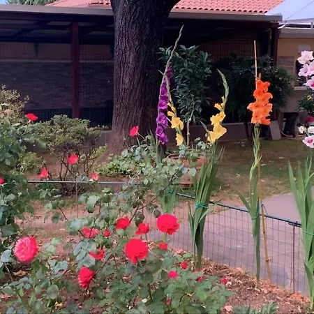 Apartment Pongo *